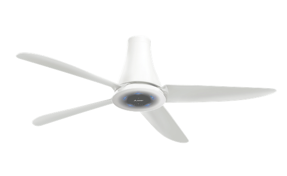 c56-rw4-den-1547019049726